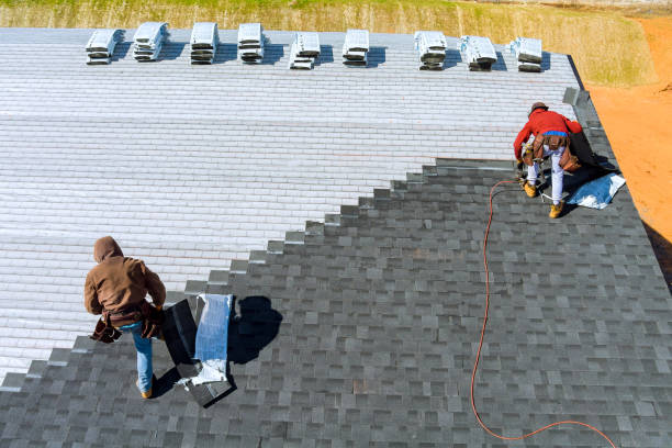Best Roof Insulation Installation  in Springfield, IL